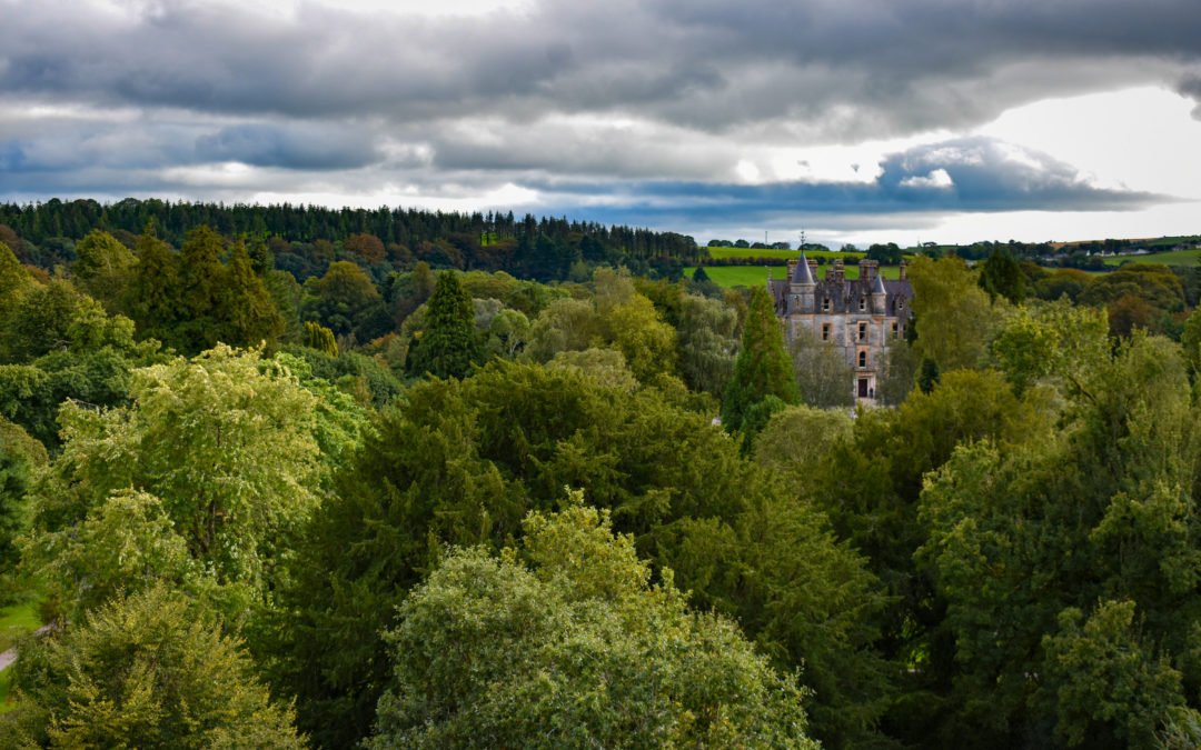 A Visit To Remember: Blarney Castle and Gardens