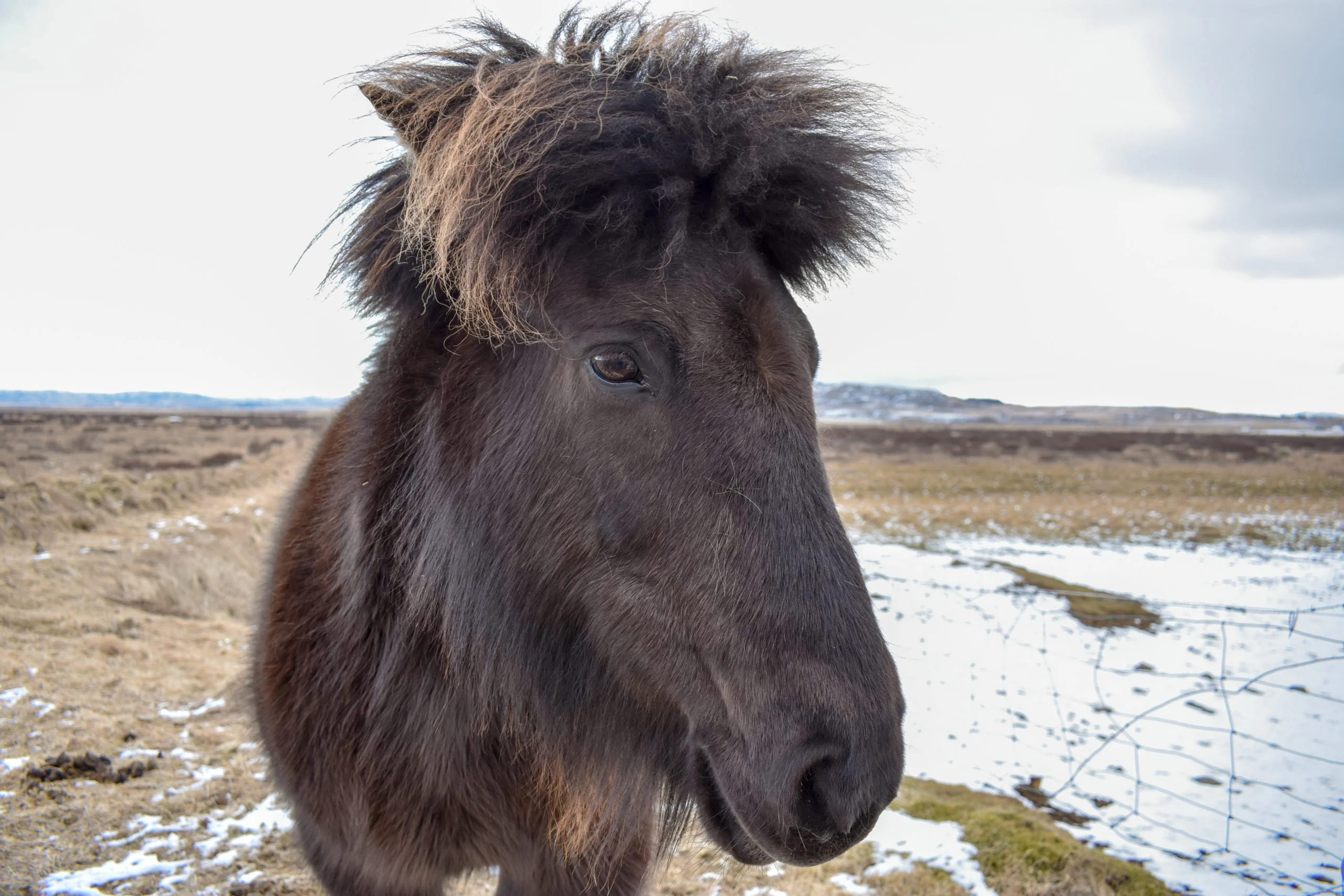 View of Humantay Lake