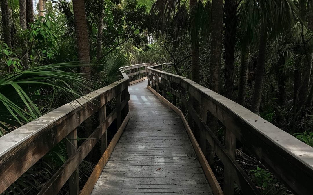 Discover the Coolest Budget-Friendly Experiences in Central Florida