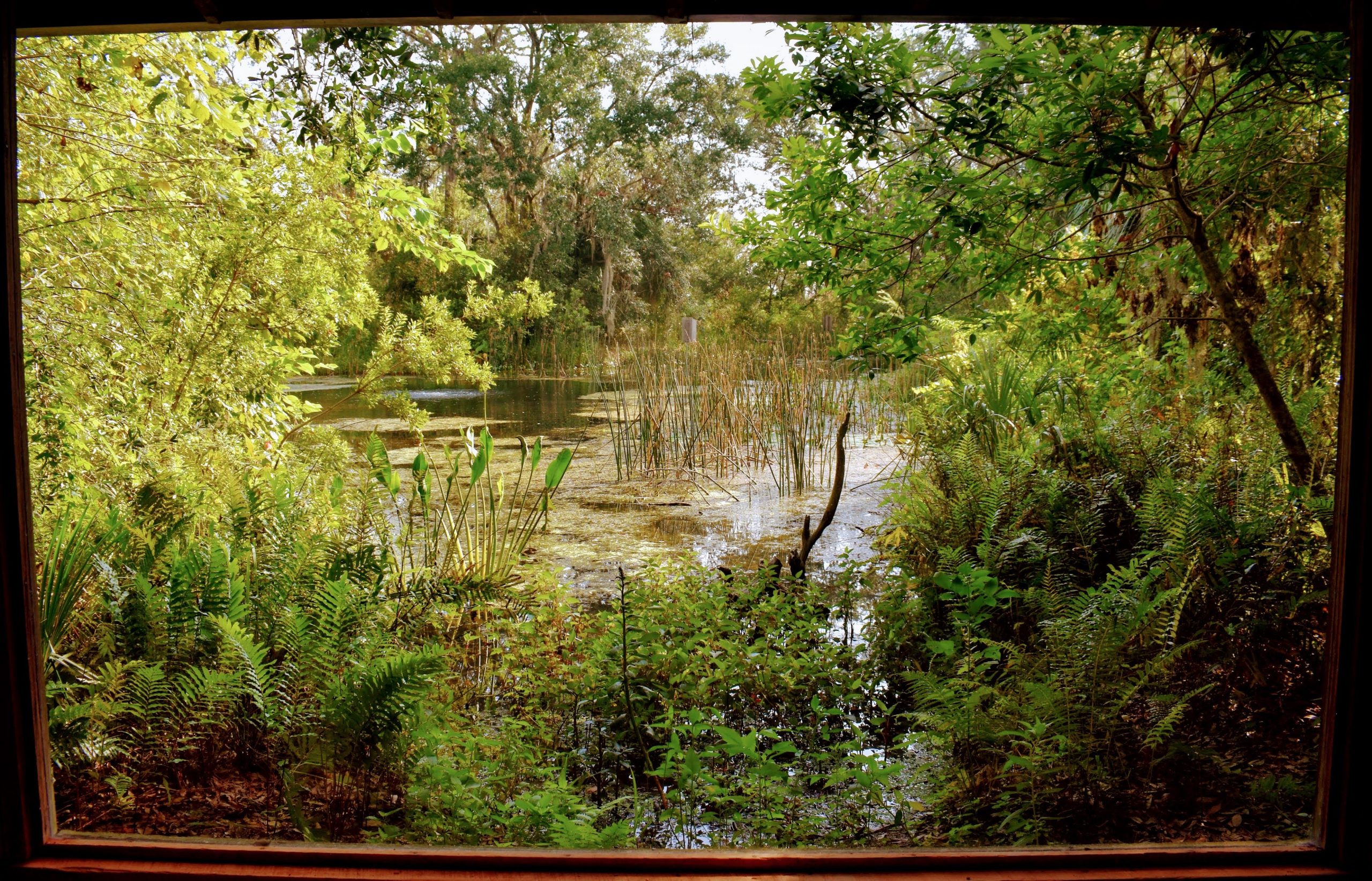 Bok Tower Gardens Discover a Serene Retreat