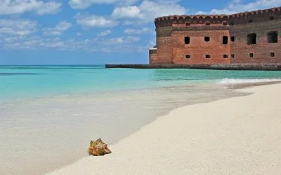 Unveiling the Thrills of South Florida on a Budget: 120+ Things To Do