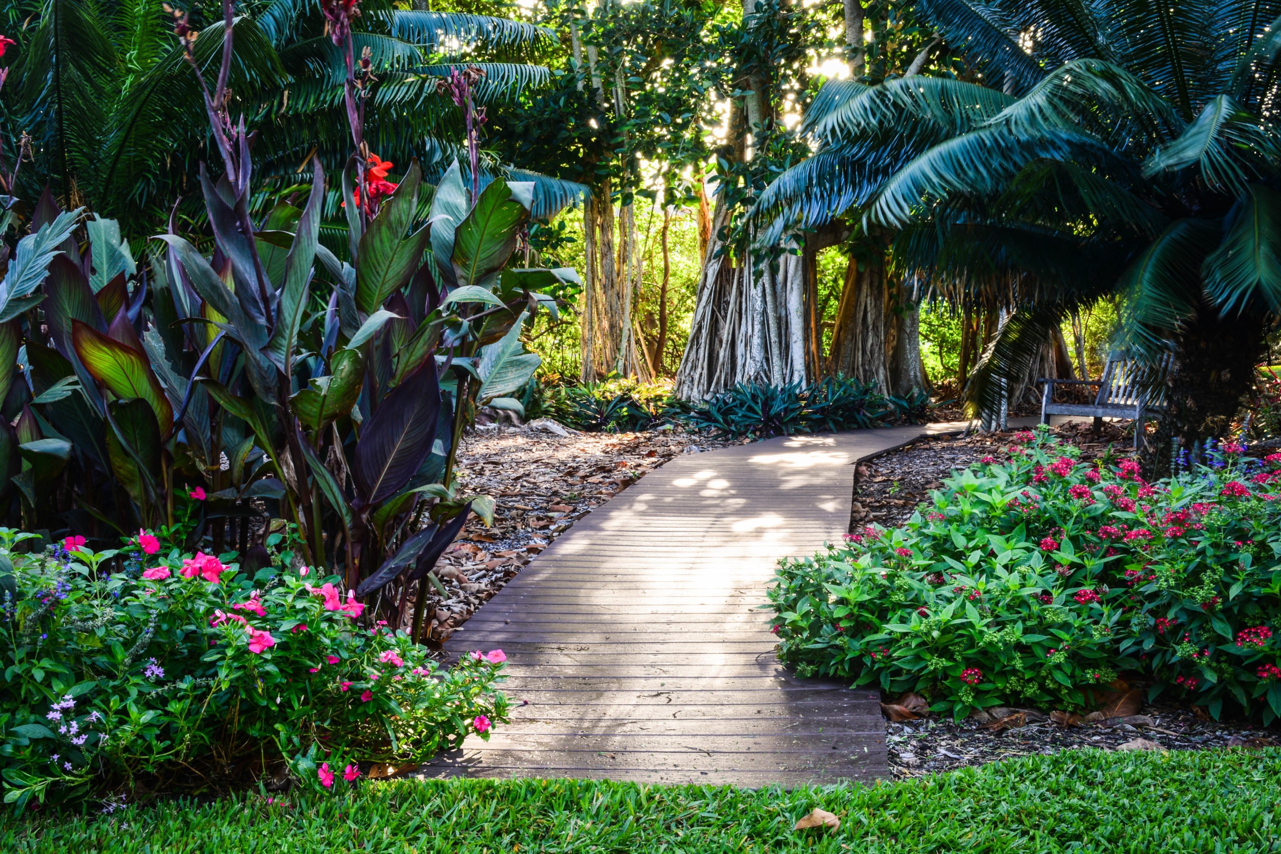 Discover the Enchanting Beauty of Marie Selby Gardens: A Tropical Paradise Awaits!